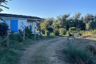 Teren deosebit cu mare potențial, la malul Mării Negre - 3