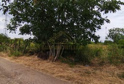Teren Intravilan, deschidere 26m, Str Sf Agnes, P.U.G. P+2