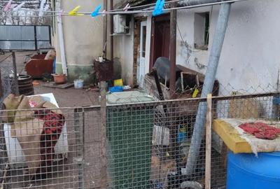 Casă cu Teren 1300 Mp în Bulgăruș - 3