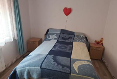 Apartament cu 2 camere semidecomandat în Vitrometan - 8