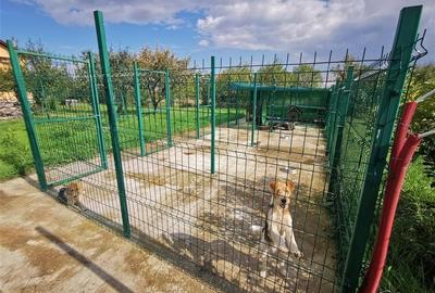 Vila Deosebita Rudicica Vila Deosebita Rudicica - 11