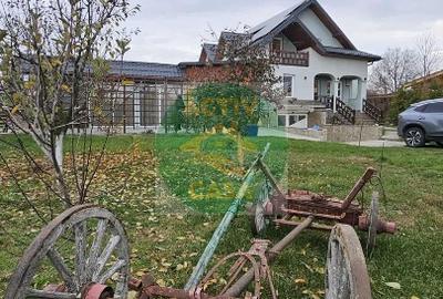 Vila subsol, parter si etaj - 1