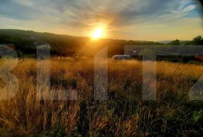 Teren de 1129 mp, în Borhanci - 5