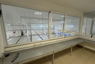 Hala productie P+1 si apartament de serviciu Navodari - c-tie beton - 11