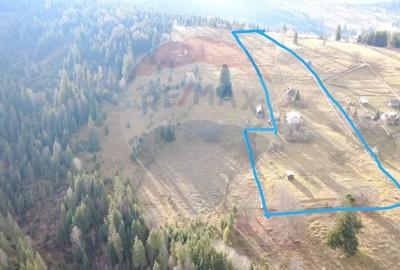 Teren Construcții intravilan de 26238 mp, în Dorna-Arini - 1