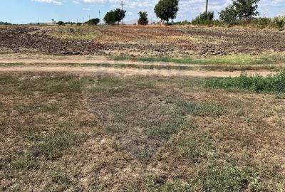 Teren Construcții intravilan de 4000 mp, în Sud-Vest - 3