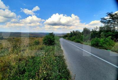 Teren de 5800 mp, în Pădureni (Chinteni) - 1