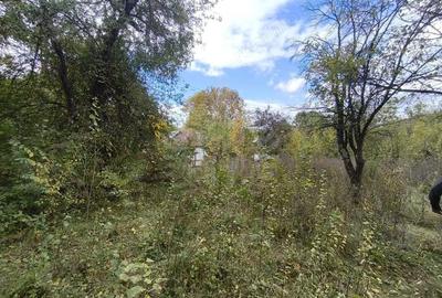 Teren de 3800 mp, în Cornu - 6