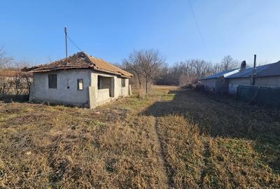 Oportunitate casa demolabila cu teren 1600m Padure Draganesti - 9