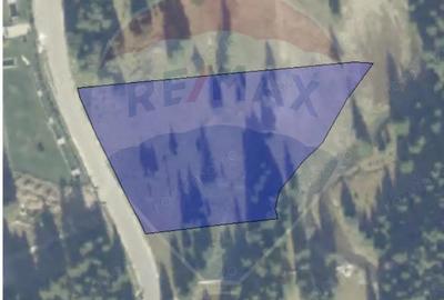 Teren de vanzare Oportunitate investi?ionala - Pe?teraPadina - 4