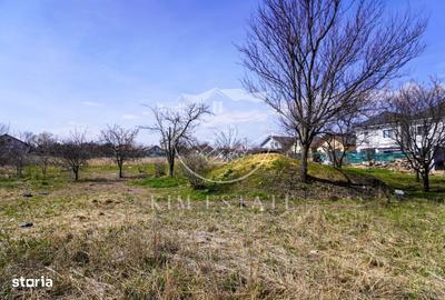 Spațiu comercial, în Lumina - 2