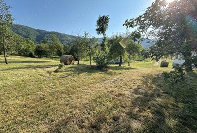 Casă cu 3 camere în Copalnic - 7