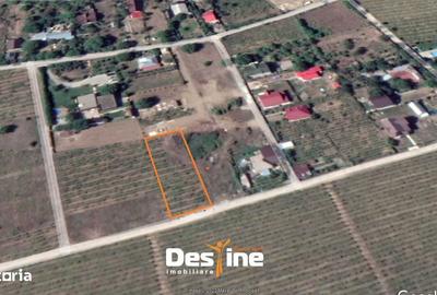 Spațiu comercial, în Bucium - 3