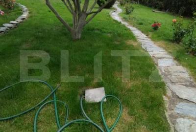 Casă cu 4 camere cu Teren 1500 Mp în Malu Mare - 12