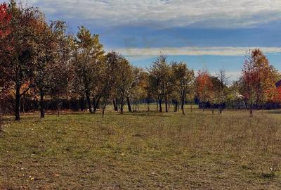 Teren de 1559 mp, în Brebu - 6