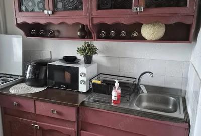 Apartament cu 2 camere decomandat în Rovine