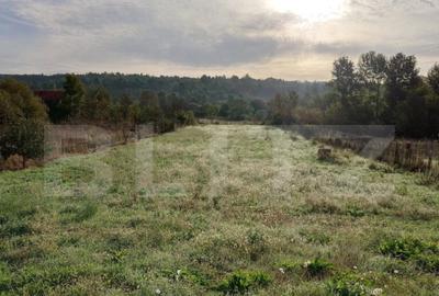 Casă cu 2 camere cu Teren 1700 Mp în Central