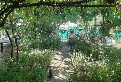 Buzau Glodeanu Sili?tea sat COTORCA, casa batraneasca caramida 3465m - 4