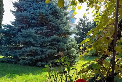 Vanzare vila Pascani, central, proprietar, 0 comision - 10