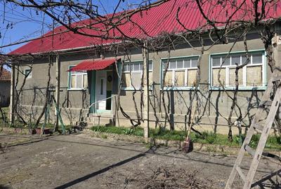 Casă cu 3 camere cu Teren 3309 Mp în Husasău de Tinca - 1