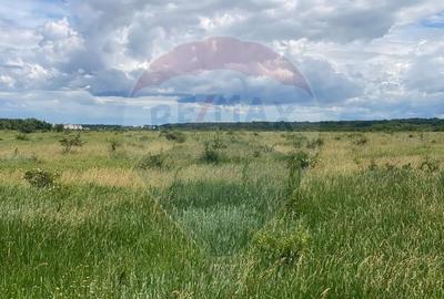 DE VANZARE Teren intravilan 600mp Drumul Piscul Mosului S... - 35