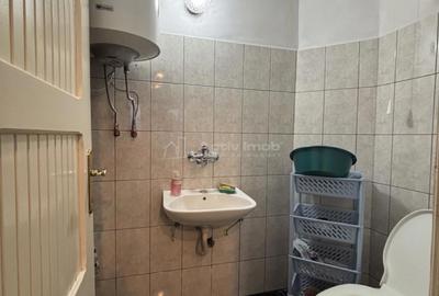 Casa pe malul Crisului - 172 mp - Ultracentral - 13