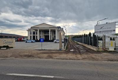 Teren agricol intravilan de 10000 mp, în Vest - 15