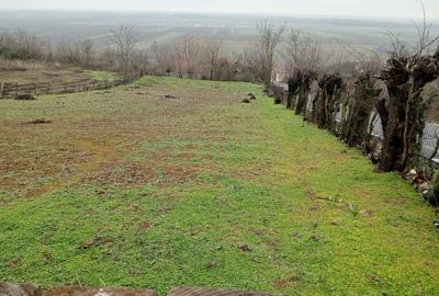 Casă cu 4 camere în Puieni - 3