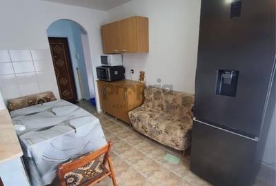 Apartament cu 2 camere decomandat, mobilat în Scriitorilor - 4