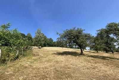 Teren extravilan de vanzare in Rasnov | 6.070 mp | Vedere panoramica - 8