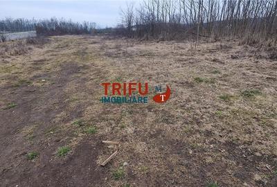 Teren de 1091 mp, în Cetate - 2