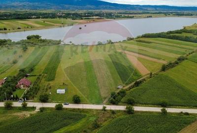 Teren superb Unciuc / jud.Hunedoara - 13