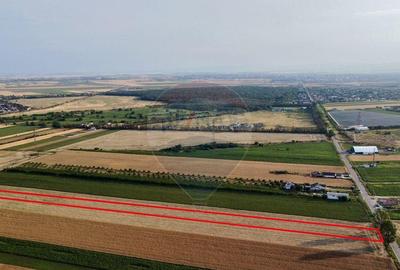 Teren Vanatori / Strada DJ204E Spre Mircesti - 14