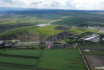 Teren industrial de vanzare intravilan, PUZ, utilita?i, drum asfaltat - 3