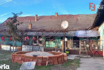 Casă cu 7 camere cu Teren 1458 Mp în Lenauheim - 16