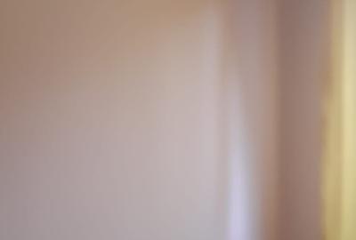 Ap 2 camere Centrala proprie Sagului-Piata Doina - 9