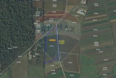 DN11 | 45.000 mp industrial | Front 155 ml | PUZ aprobat | UAT Prejmer - 3