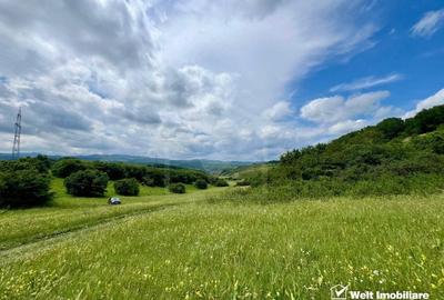 Oportunitate investitie, teren cu panorama pentru cabane - 7