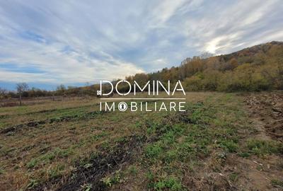 Teren Construcții intravilan de 4967 mp, în Bălești - 8