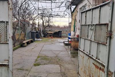 Casă cu 3 camere în Remetea Mare - 4