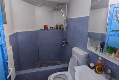 Apartament cu 5 camere decomandat în Grădina Icoanei - 10