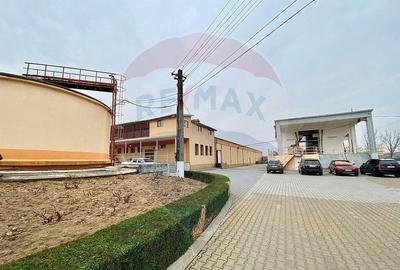 Crama din Buciumeni Afacere la cheie - 8