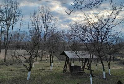 Casă cu Teren 5400 Mp în Fântâna Mare - 5