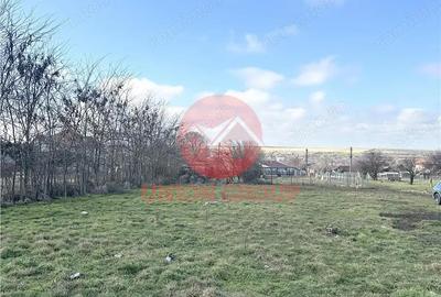 Teren de 1200 mp, în Sud - 3