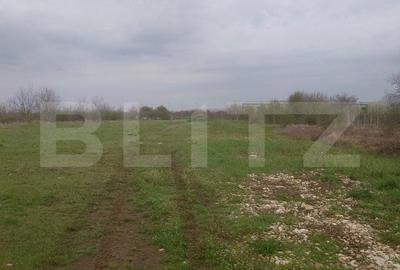 Teren de 3515 mp, în Cornești - 11