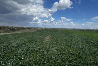 Casă cu 6 camere în Strejești - 3