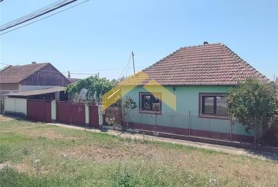 Casa la sol de vanzare Zimandu Nou - 1