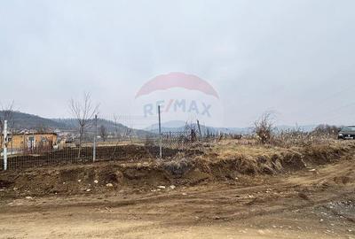 Teren constructie casa, 696 mp Medias / Strada Stadionului - 1