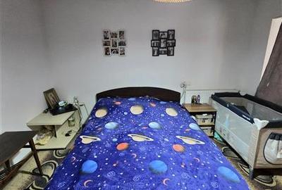 Casă individuală cu 2 camere cu Canalizare în Coiciu - 15