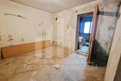 Boxa cu 2 camere in Cetate - 2